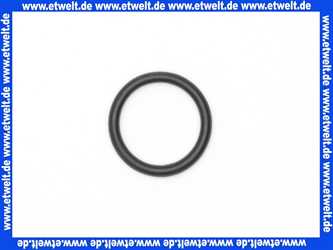 5718767199 Wolf O-Ring f.Strömungsschalter