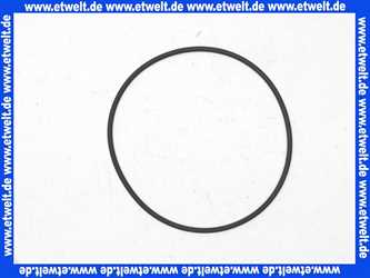 8905738 Wolf O-Ring Dichtring 132 x 4 Viton