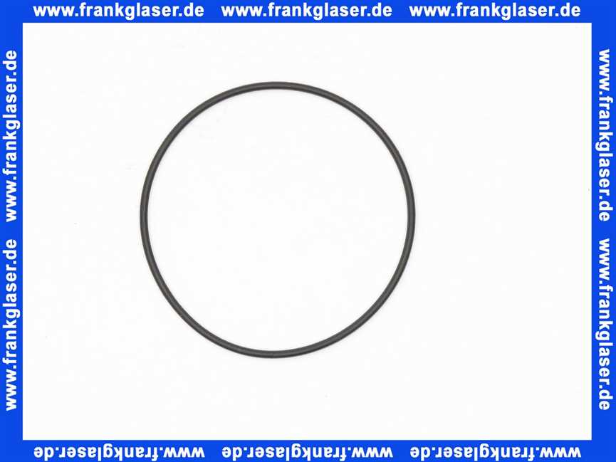 11120123 ABS Sulzer O-Ring