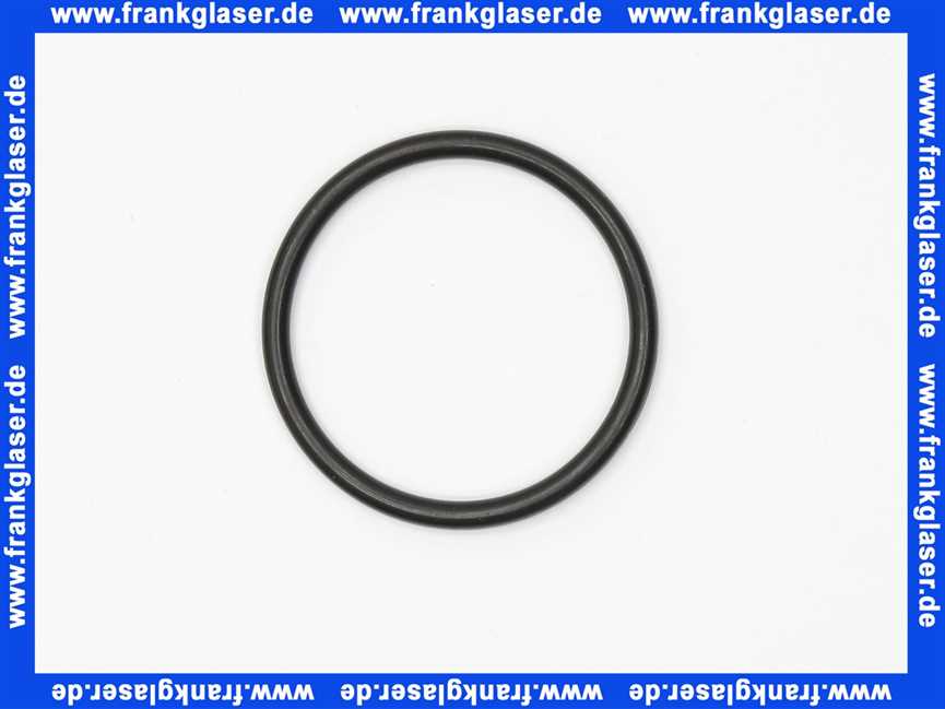 11120318 Abs Dichtung Dichtring O-Ring