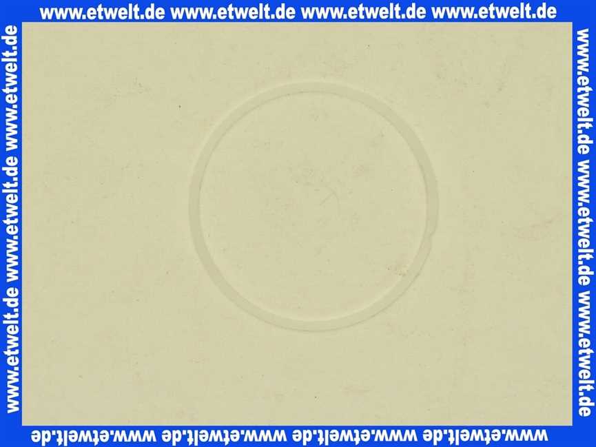 127024 Blanco Teflonring Gleitring