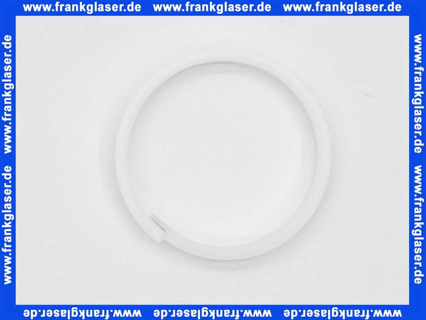 139540 Blanco Teflonring