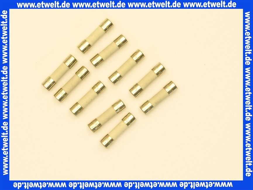 Bosch Sicherung T2,5A (10x) 19045213420