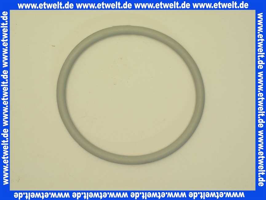 Bosch O-Ring 160x10 7747007986