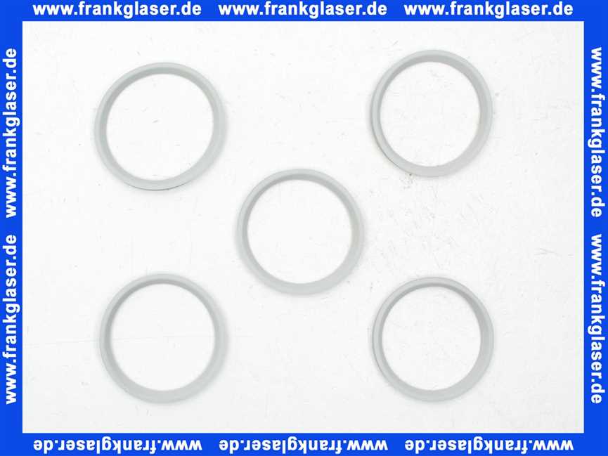 Bosch Lippendichtung DN80 PerOxyd (5x) 7747021733