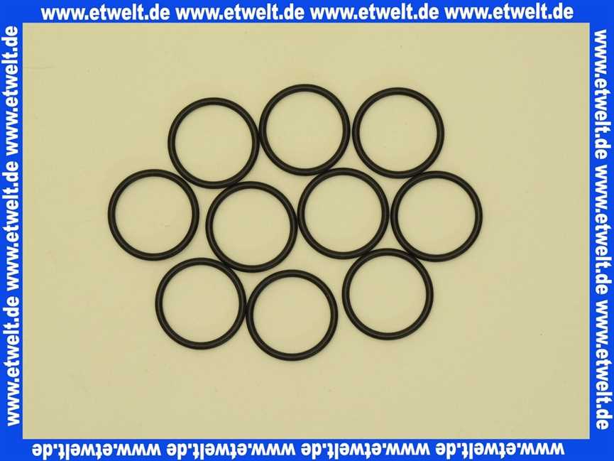 Bosch 87102050560 O-Ring (10x)