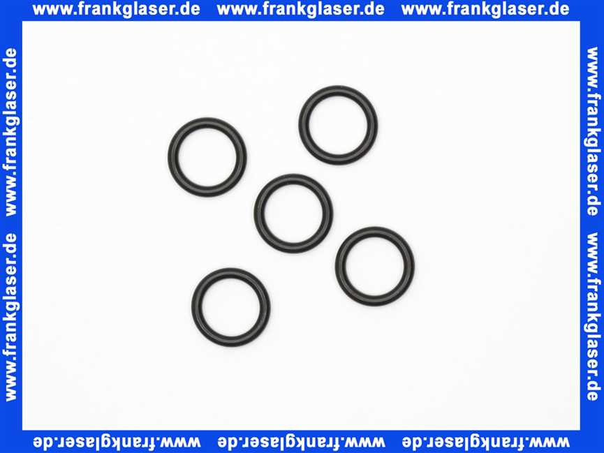 Bosch 87485110310 O-Ring (5x)