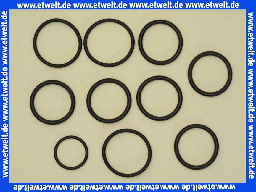 5354969 Buderus Dichtungssatz O-Ring V1