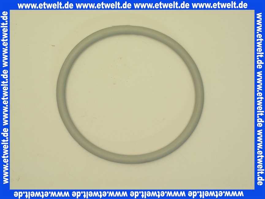 7747007986 Buderus O-Ring 160x10