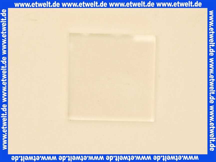 7747021876 Buderus Glasscheibe 30x30x3,3mm Schauglas