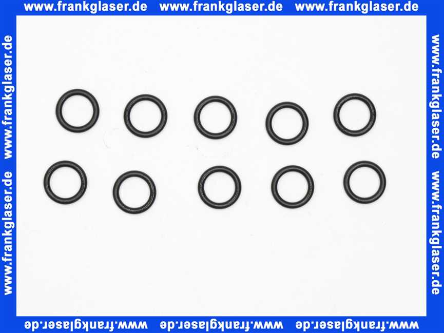 87002051290 Buderus O-Ring (10x)