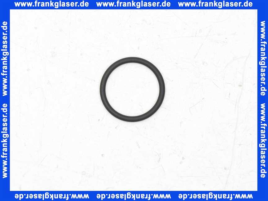 1181544 BWT O-Ring Dichtung Dichtring