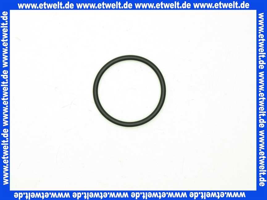 2-060509 BWT O-Ring 1 Stück