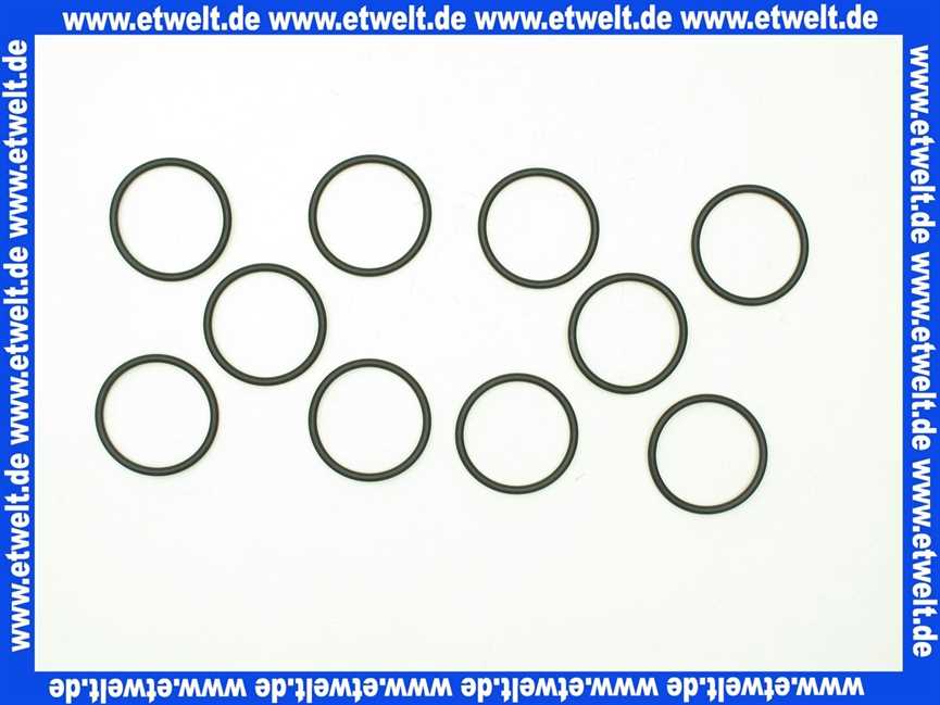 2-060509 BWT O-Ring Set