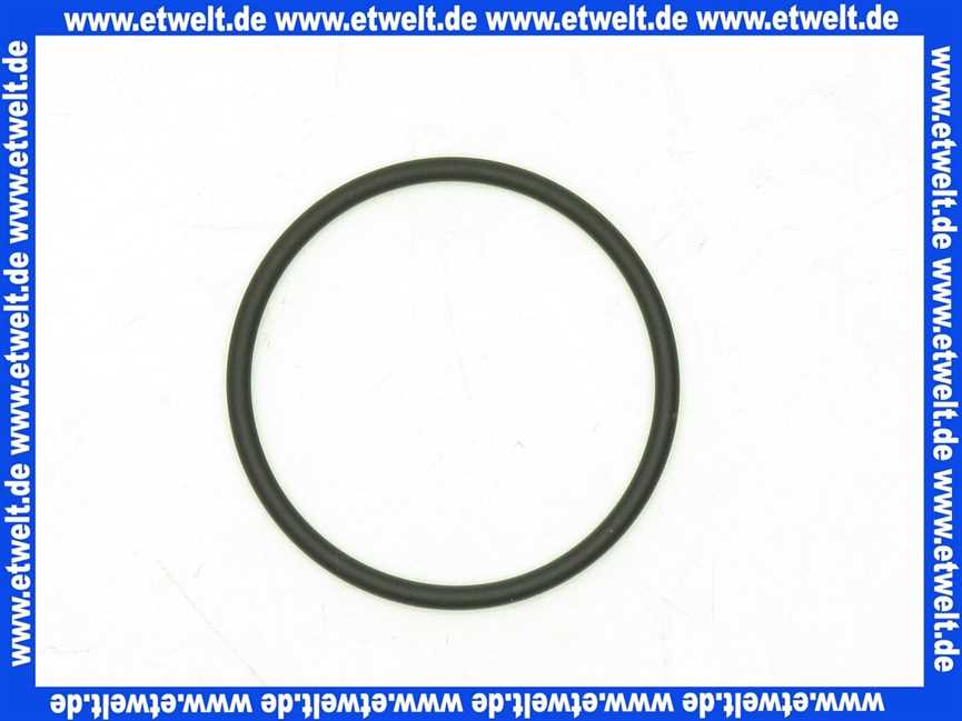 9127590 BWT O-Ring EP70 42,52 x 2,62