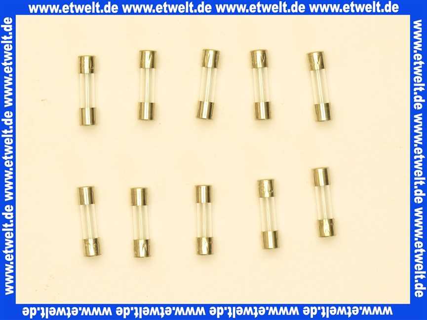 Feinsicherung träge 0,315 A (5x20mm) 10 Stück