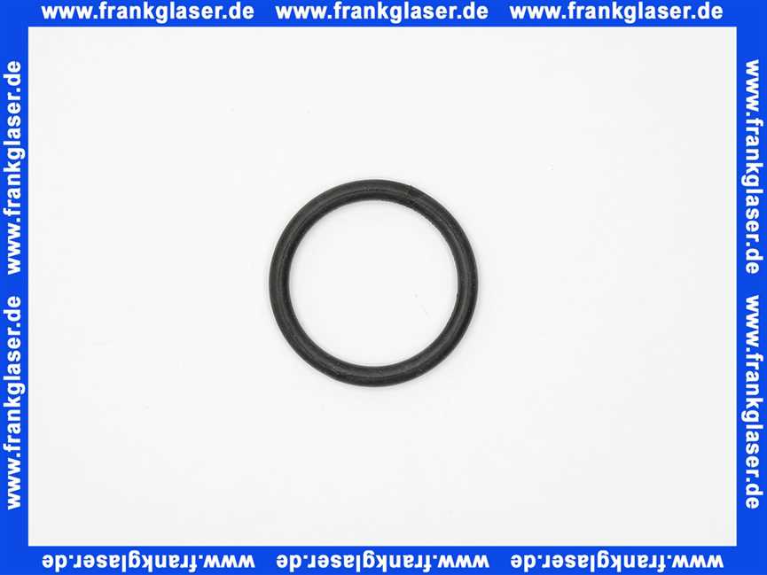 361789001 Geberit PE Rundschnurring di49x6