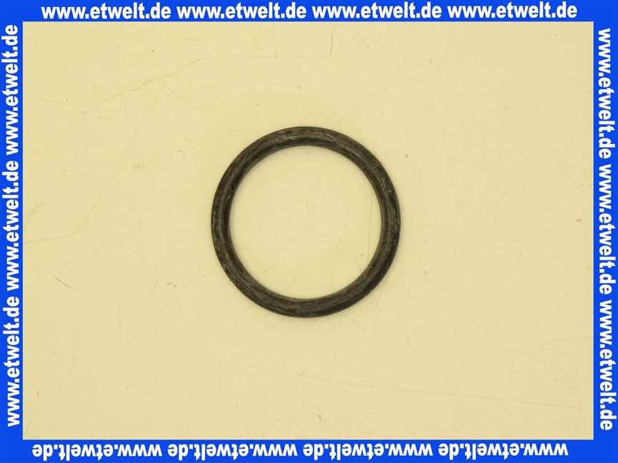 892975001 Geberit O-Ring für Ablaufstutzen ab Modell 77