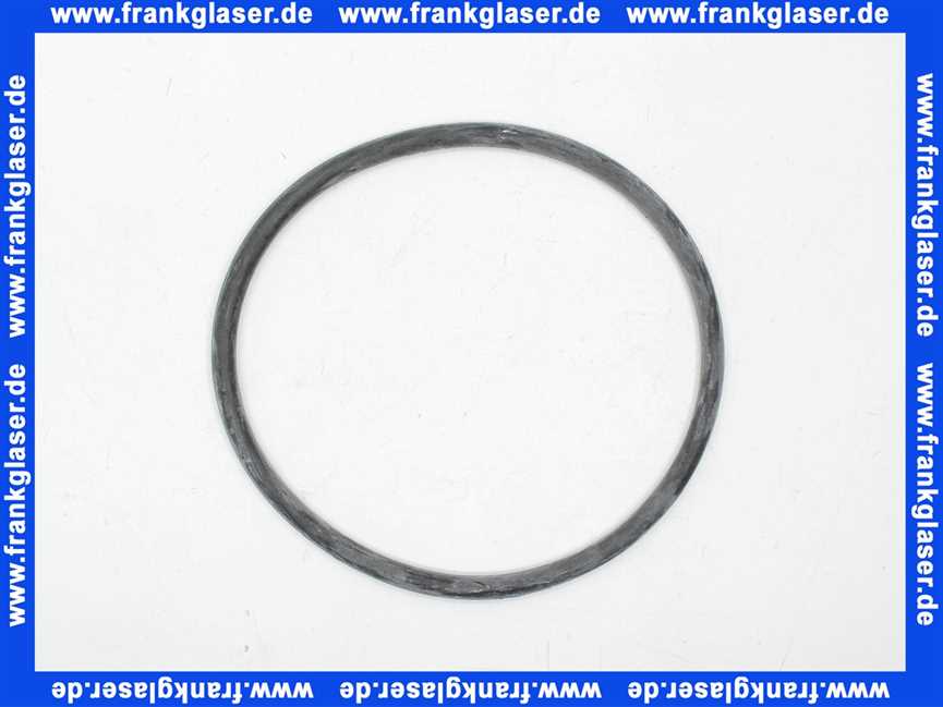 85397000 Geberit Rundschnurring PE-HD f Reinigung di157x8