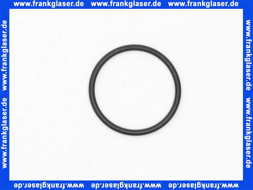 0120600 Grohe O-Ring 26x2mm (1 Stück)