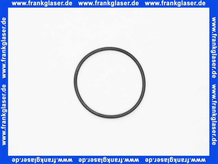 42836000 Grohe O-Ring 42836 für Tectron und Tipptronic 1 Stück