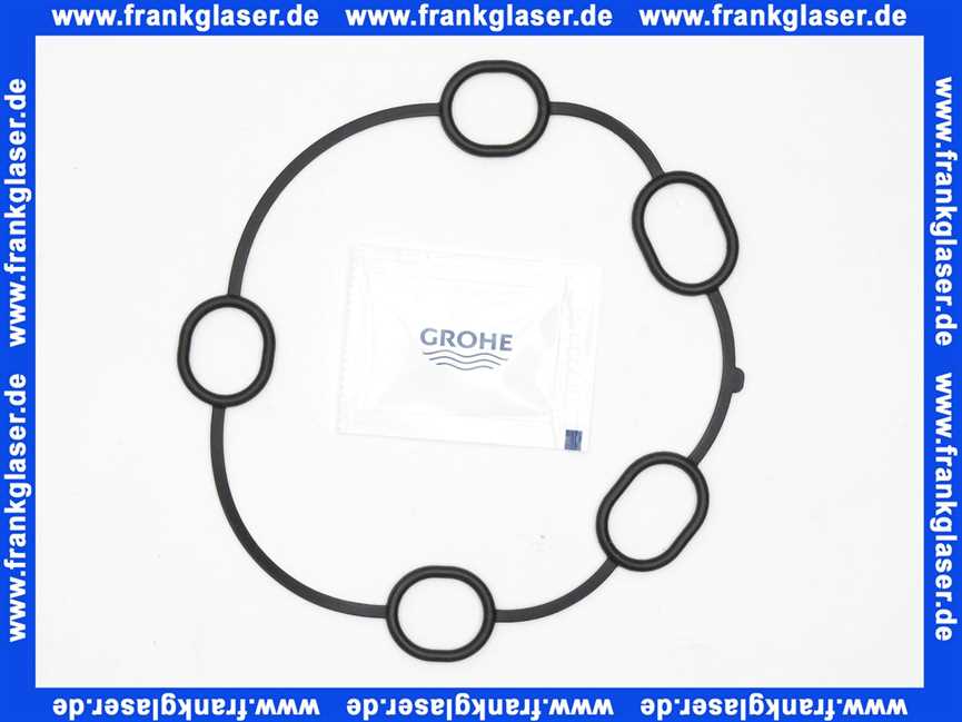 Grohe Dichtung 48360 48360000