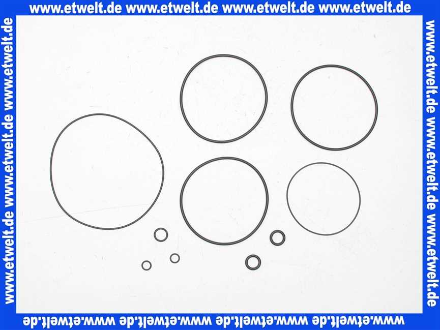 107755 Grünbeck Dichtsatz komplett für Geno Rückspülfilter