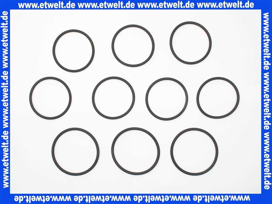 108625 Grünbeck Glocken O-Ring Dichtungssatz