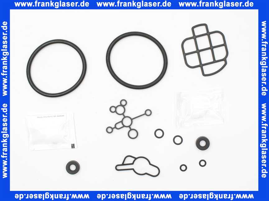 187803 Grünbeck Wartungsset Dichtungssatz für Steuerkopf