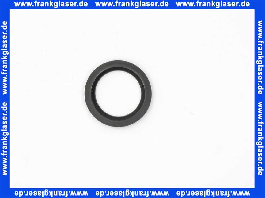 53971000 Hans Grohe Dichtung DN32