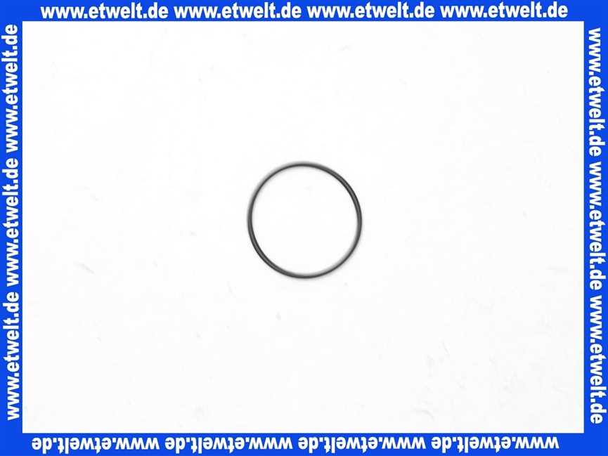 92542000 HansGrohe Dichtung O-Ring Dichtrichtring