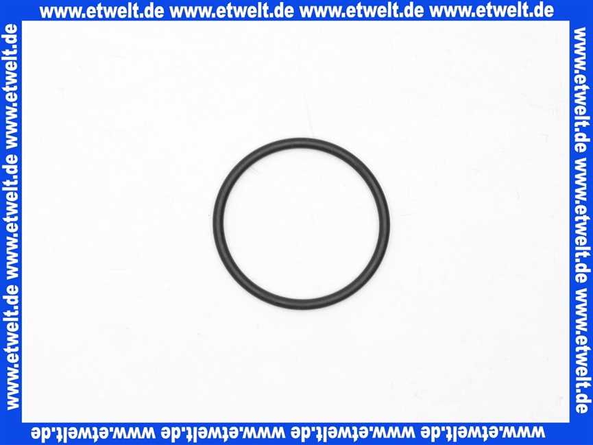 92634000 Hans Grohe O-Ring Thermostat DN20