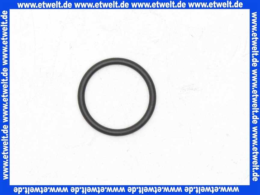 92738000 Hans Grohe O-Ring Dichtung 29x1,5mm