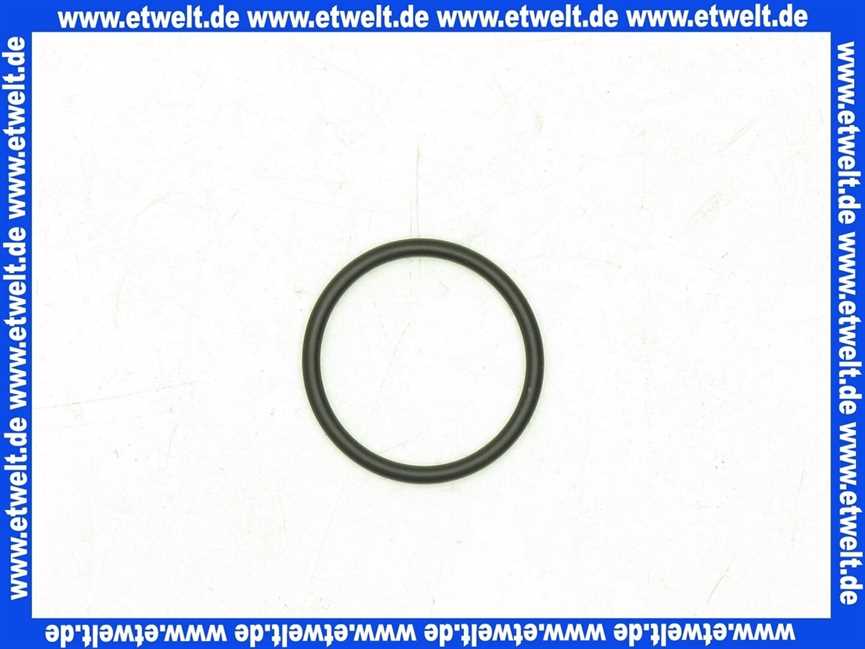 98128000 Hans Grohe O-Ring 13x2mm