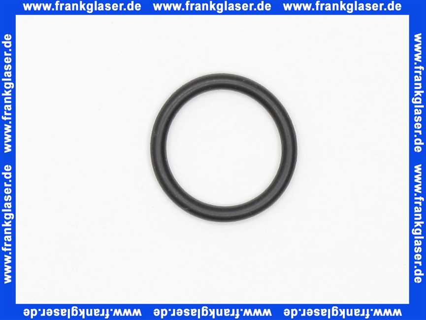 98139000 Hans Grohe O-Ring 18x2,5mm