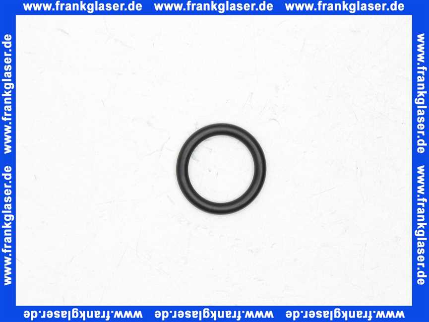 98150000 Hans Grohe O-Ring Dichtung 28x5mm