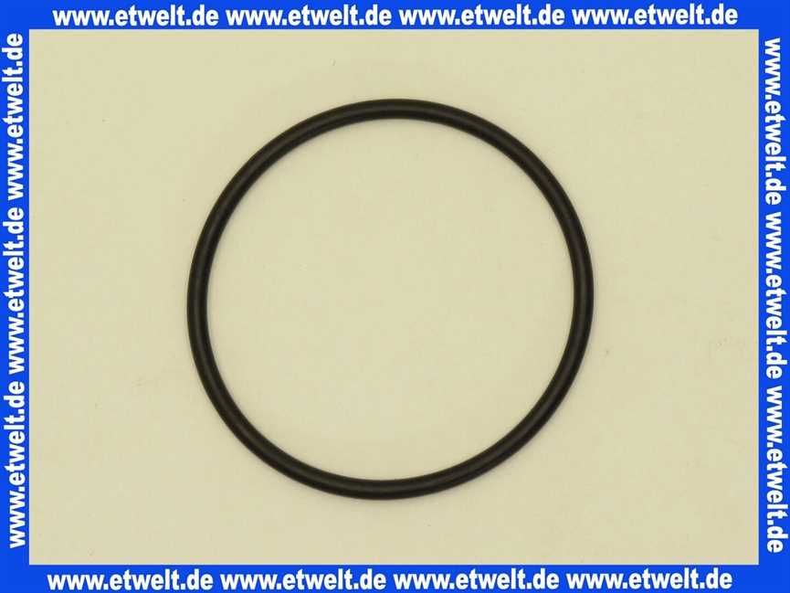 98162000 Hans Grohe O-Ring Dichtung 44x2,5