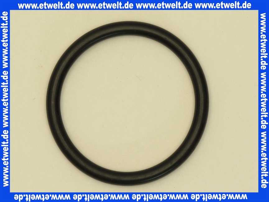 98174000 Hans Grohe O-Ring 48x5