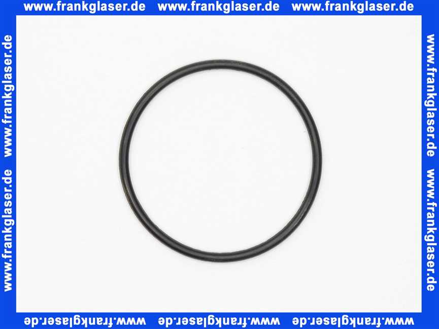 98178000 Hansgrohe O-Ring 56 X 3