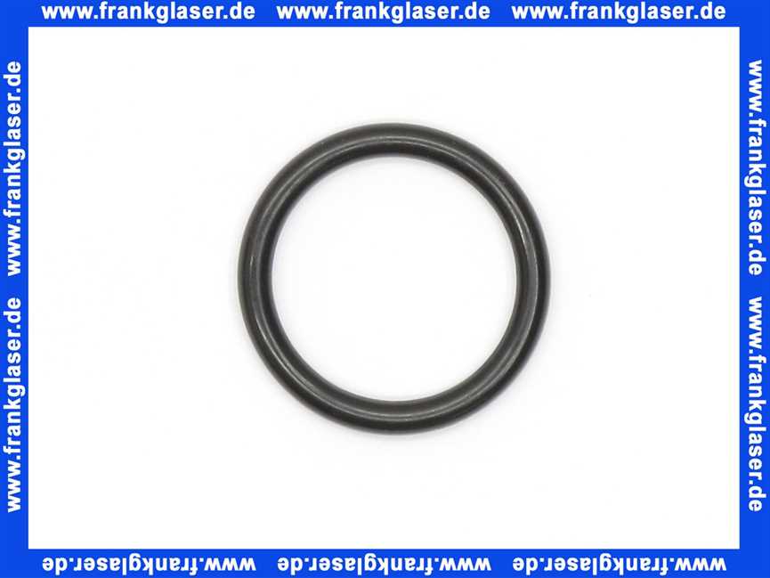 98182000 Hans Grohe O-Ring 21x3mm