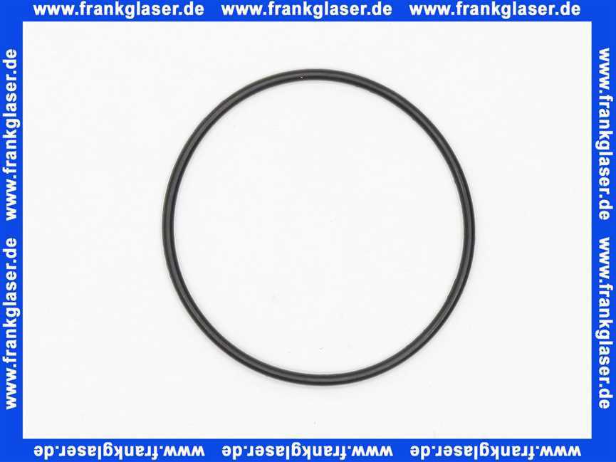 98187000 Hans Grohe O-Ring 50 x 2