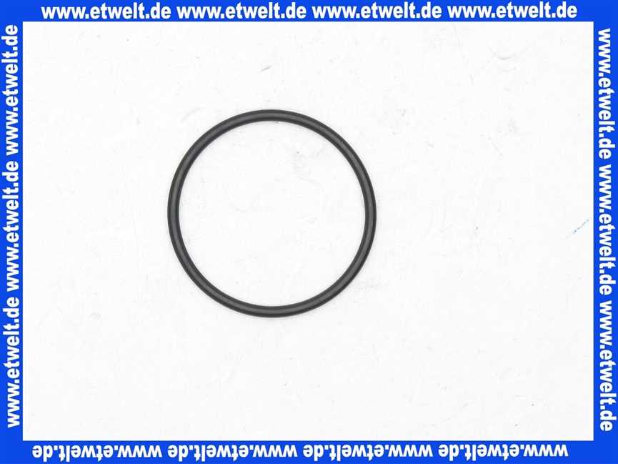 98195000 Hans Grohe O-Ring Dichtung 46x2mm