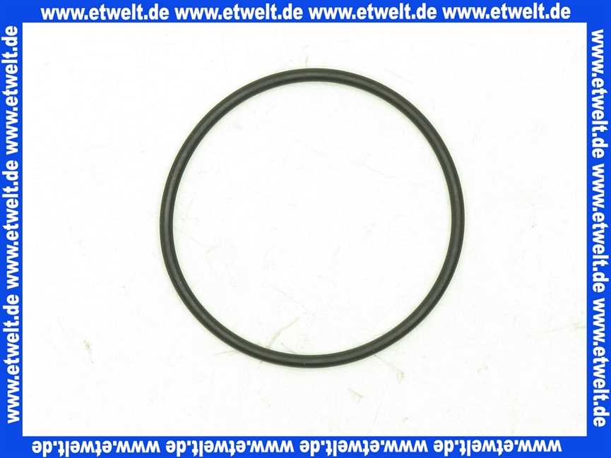 59913173 Hansa Cosima O-Ring 42 x 2mm