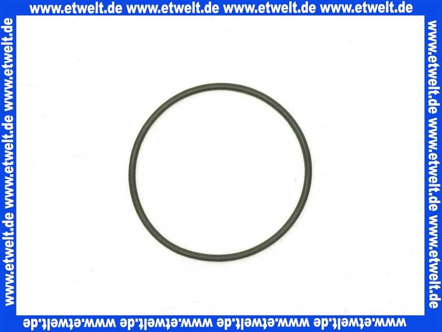 59913975 Hansa O-Ring d: 34,00 x d: 1,50