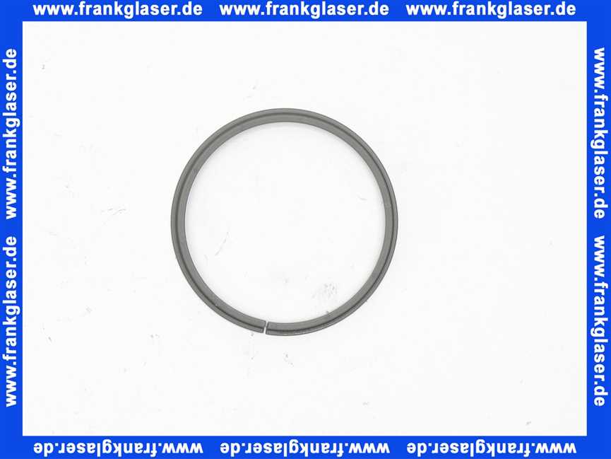 Hansa Gleitring 59914486 1 Stück