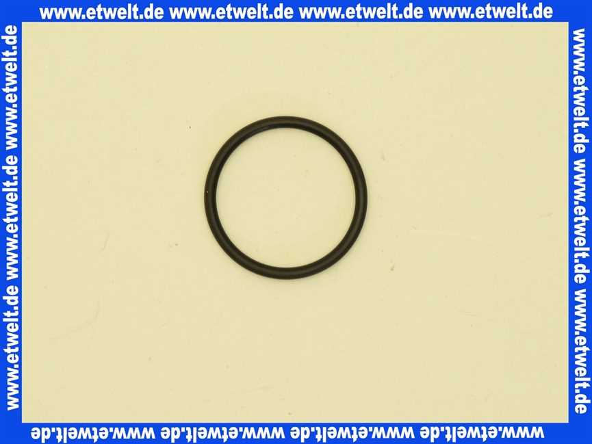 E59912590 Hansa O-Ring Dichtung 28,24 x 2,62