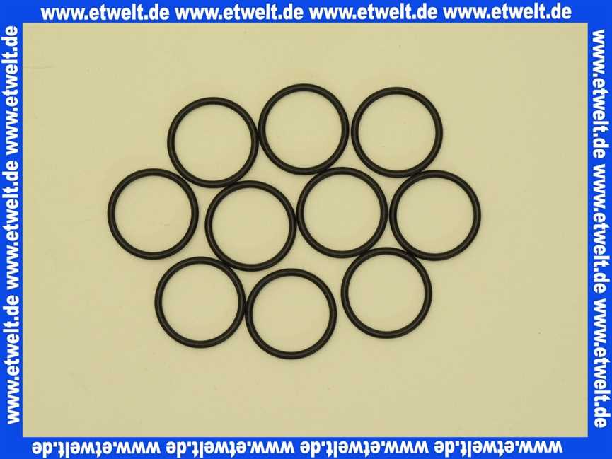 87102050560 Junkers O-Ring (10x)