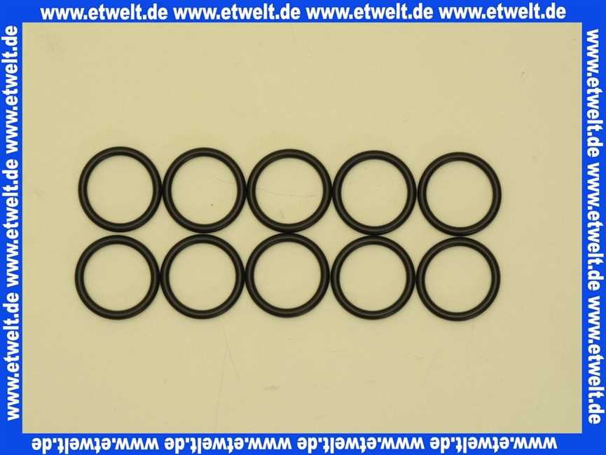 87102050640 Junkers O-Ring (10x)