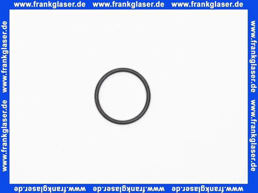 9250381100 Kludi Ersatzteil O-Ring 22 X 2