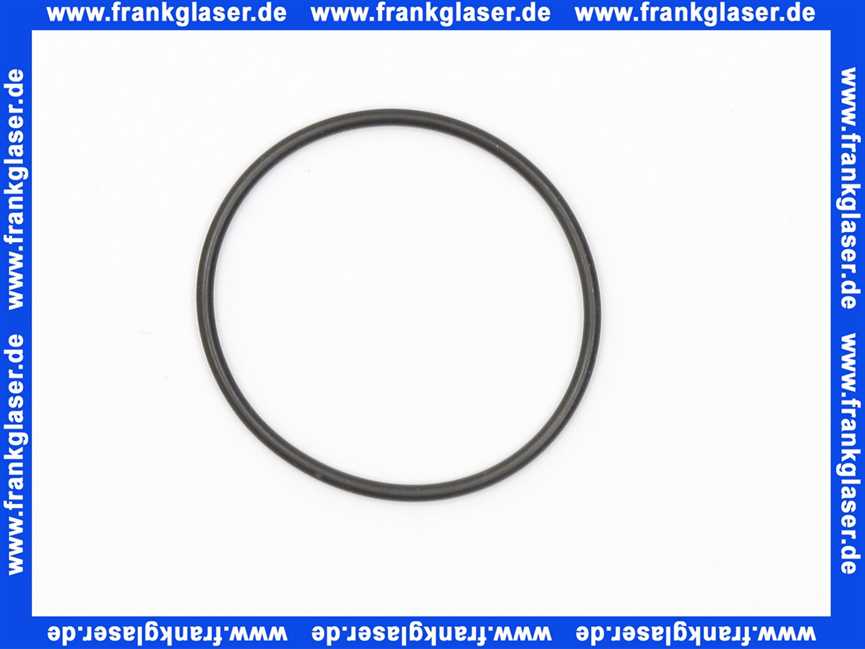 9250591100 Kludi Ersatzteil O-Ring Dichtung 50 x 3 Kst.-schwarz